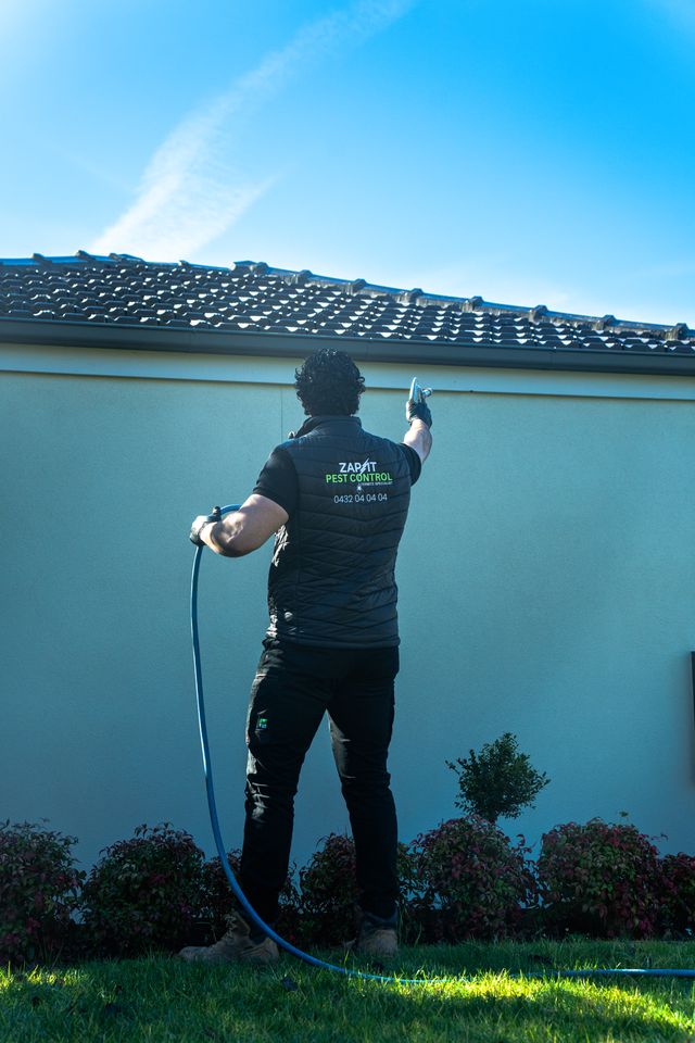 Pest Control at Home