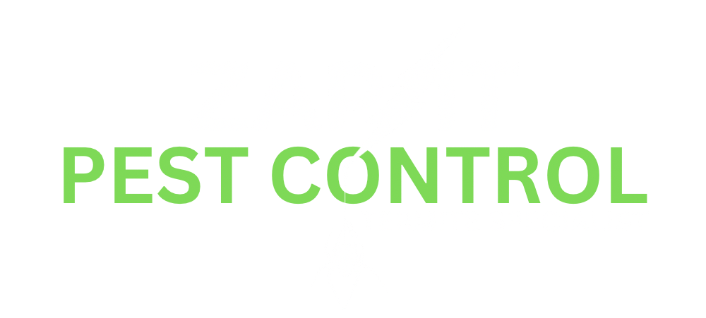 Zap It Logo