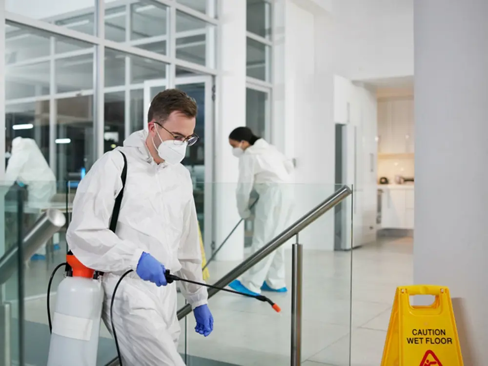 Common Pest Control in Recreational Facilities