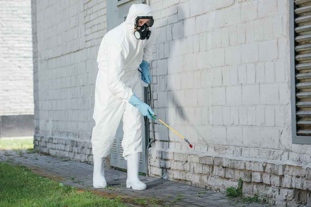 Government Buildings Pest Control