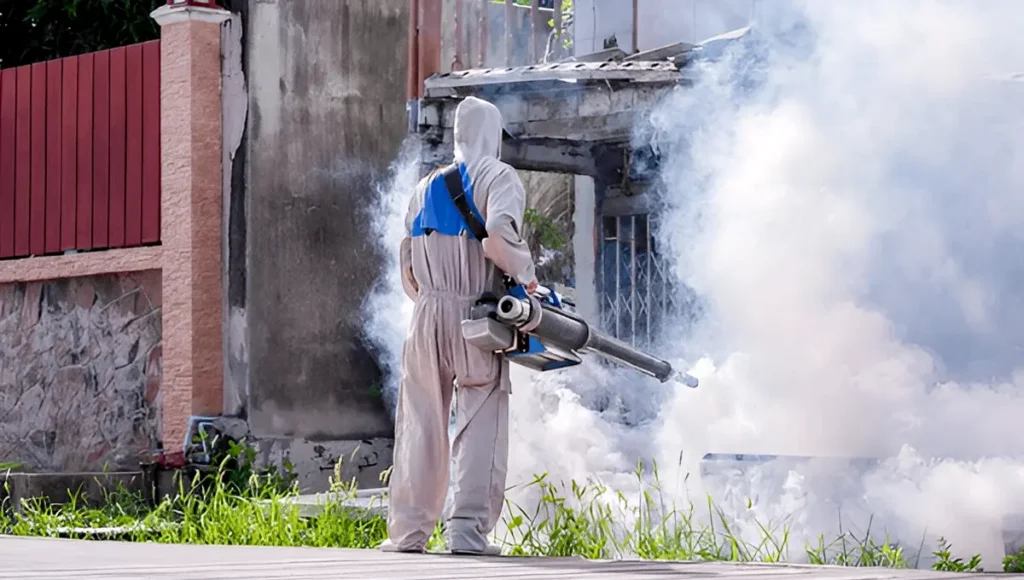 How to Remove Mosquito​ and Effective Prevention Tips