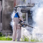 How to Remove Mosquito​ and Effective Prevention Tips