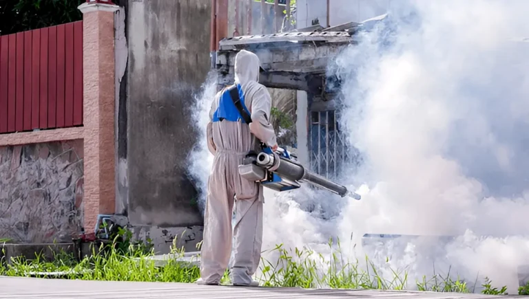 How to Remove Mosquito​ and Effective Prevention Tips