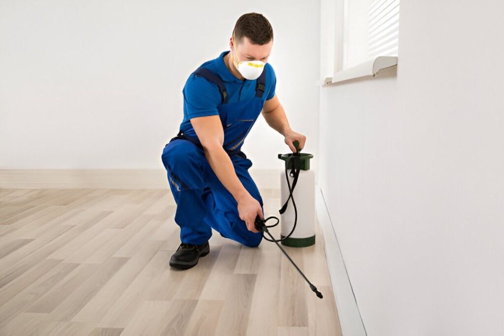 How Often Should You Schedule Pest Control Services?