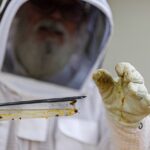 What Happens During a Professional Pest Inspection?