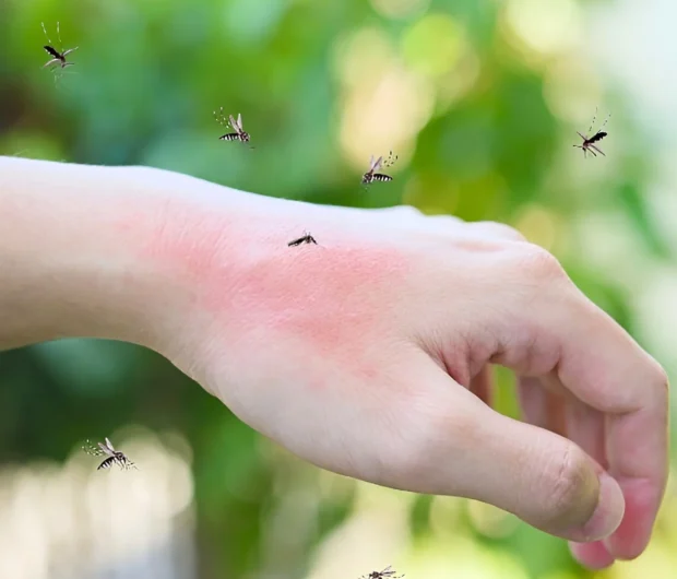 Mosquito swarm demonstrating need for mosquito inspection services