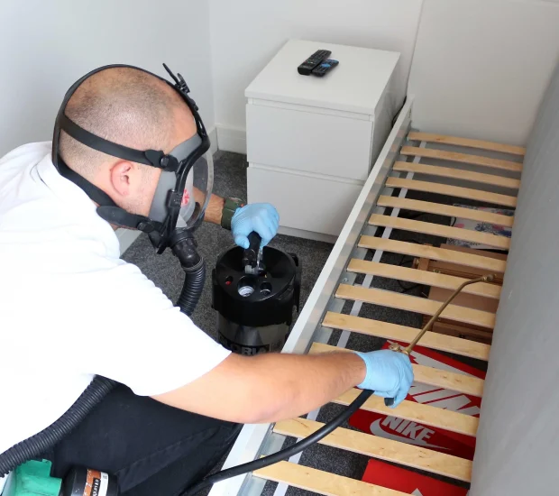 Professional pest control technician performing clothes moth treatment on bed frame with specialized equipment