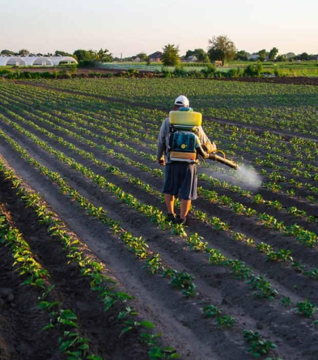 A professional treating crops with pest control methods, showcasing effective solutions to protect agriculture from pests.